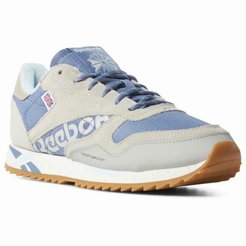 Reebok Cl Lthr Ripple Tenisky Damske - Siva/Modre CT6455MV